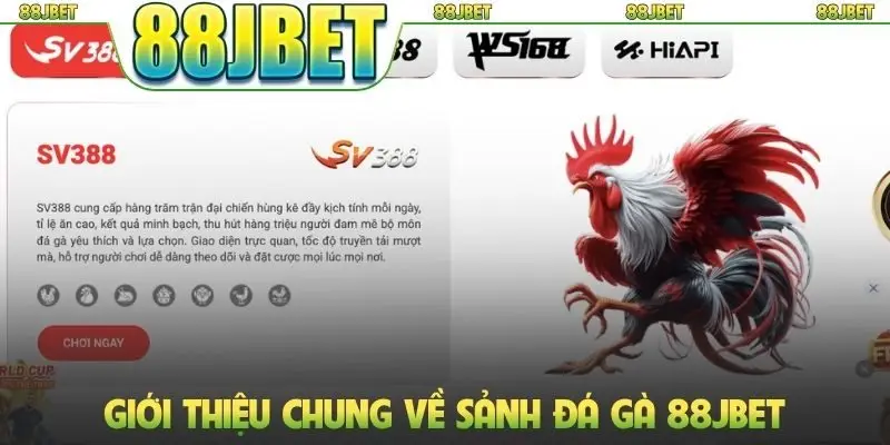 Giới thiệu chung về sảnh đá gà 88JBET